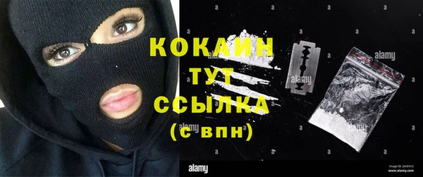 прущие грибы Медвежьегорск