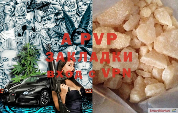 прущие грибы Медвежьегорск