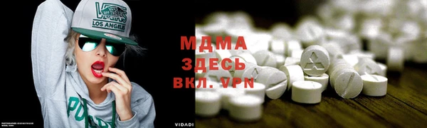 прущие грибы Медвежьегорск