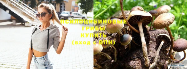 кокаин премиум Михайлов
