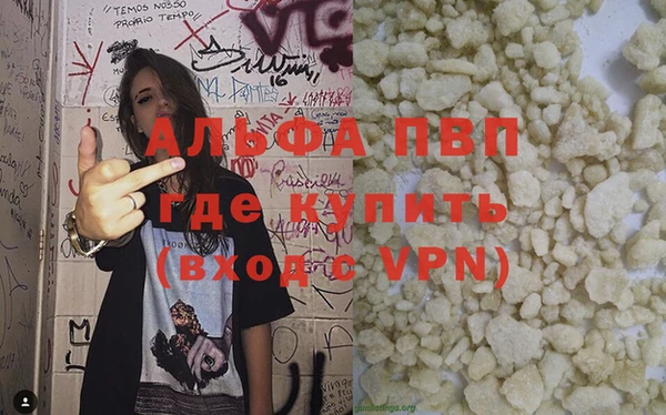 прущие грибы Медвежьегорск