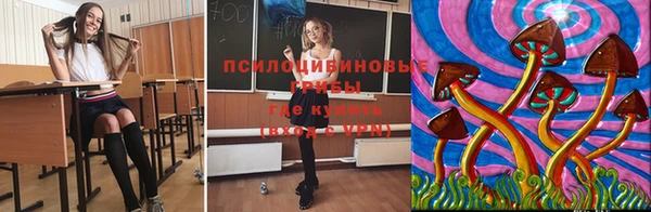 метадон Михайловск