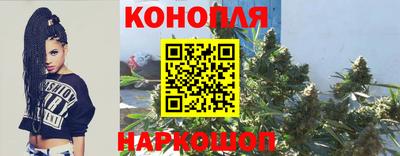 бошки Жуковский