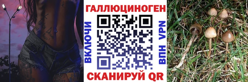 купить наркотик  Надым  Галлюциногенные грибы Psilocybe 