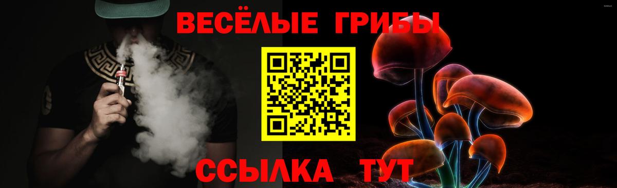 Галлюциногенные грибы Psilocybe  Надым 